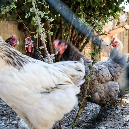 Tenuta Fonte Mosco' Ponzano di Fermo Kültér fotó