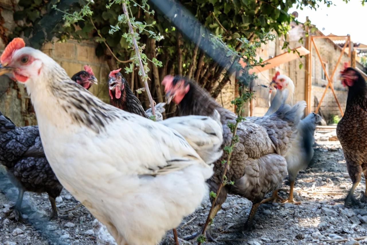 Tenuta Fonte Mosco' Ponzano di Fermo Kültér fotó