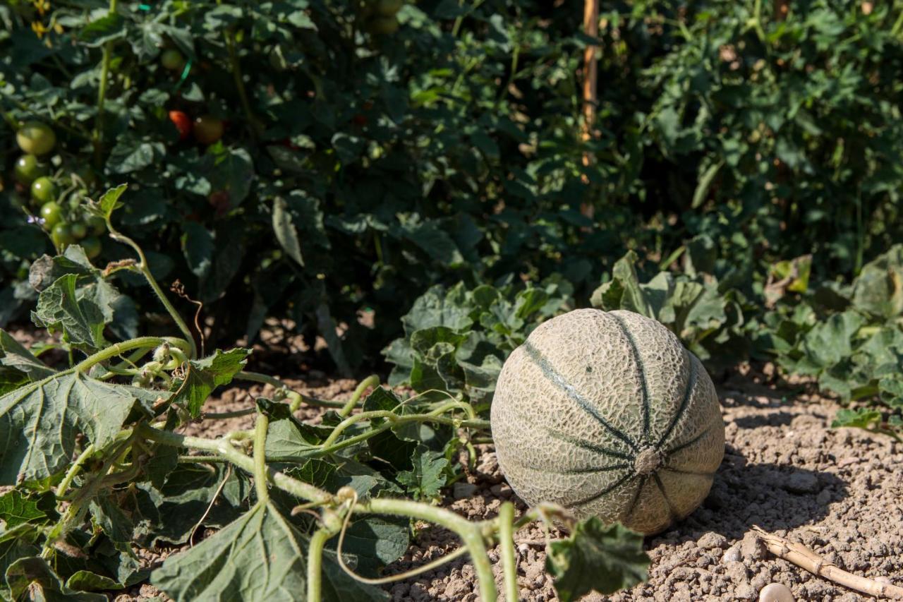 Tenuta Fonte Mosco' Ponzano di Fermo Kültér fotó