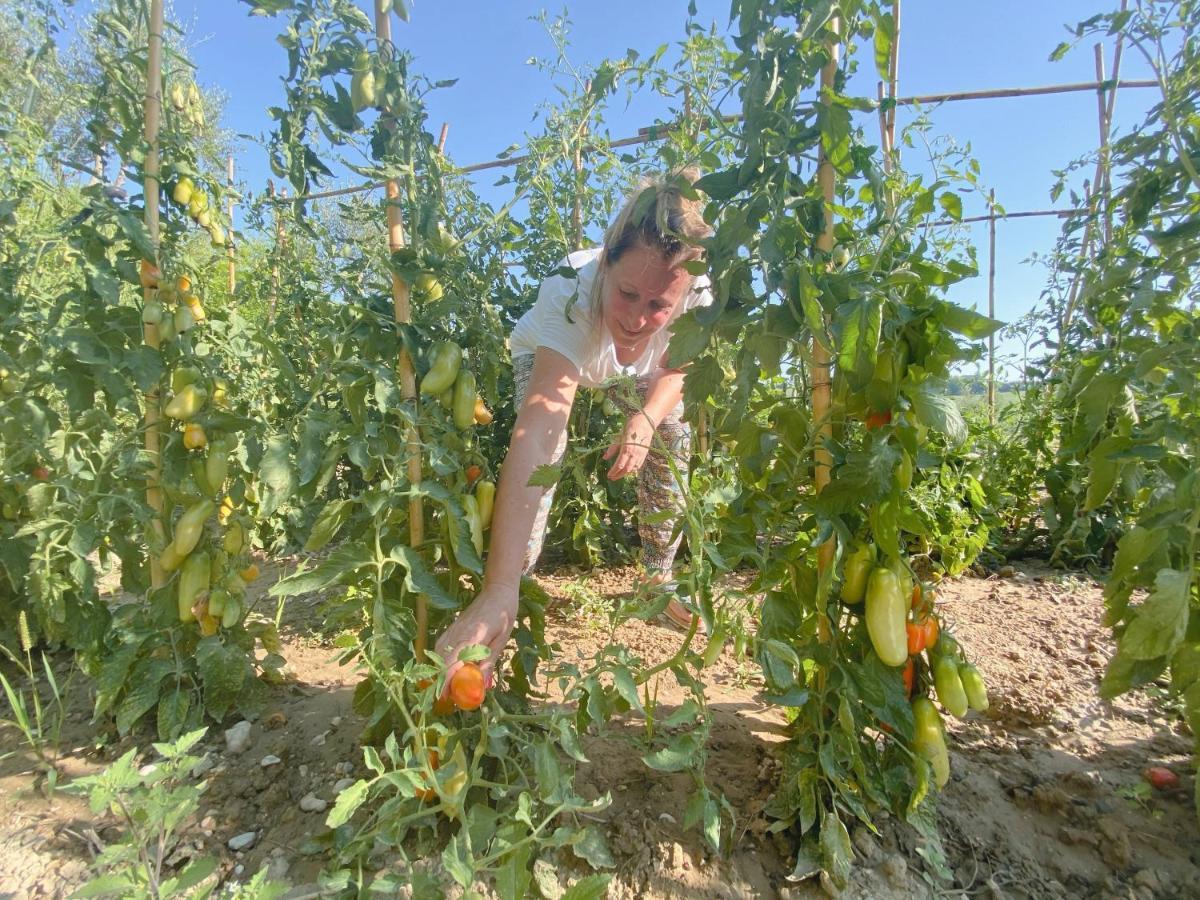 Tenuta Fonte Mosco' Ponzano di Fermo Kültér fotó