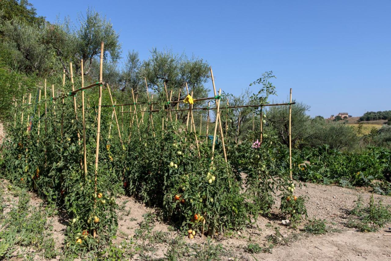 Tenuta Fonte Mosco' Ponzano di Fermo Kültér fotó