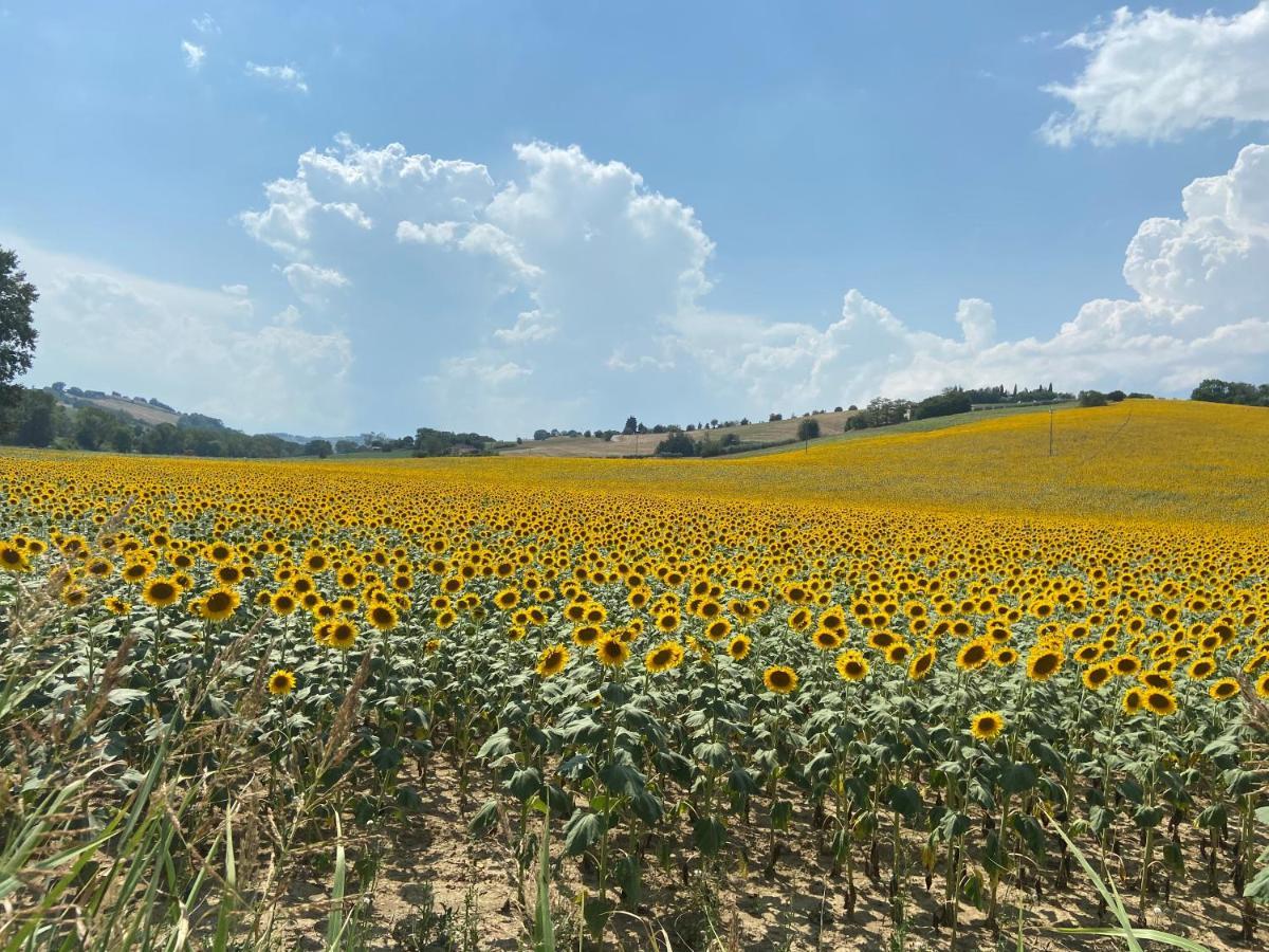 Tenuta Fonte Mosco' Ponzano di Fermo Kültér fotó