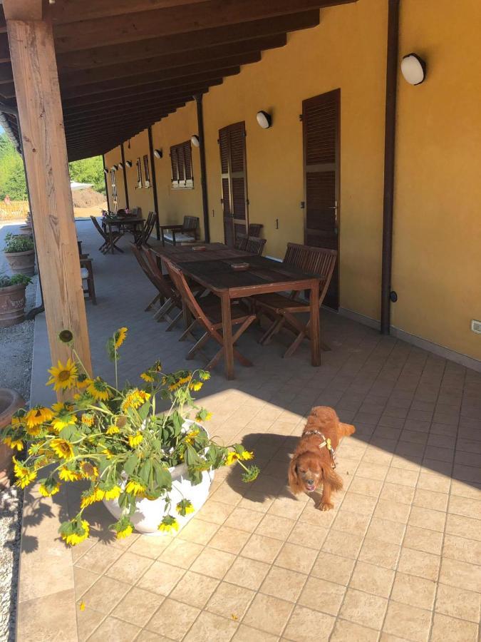 Tenuta Fonte Mosco' Ponzano di Fermo Kültér fotó